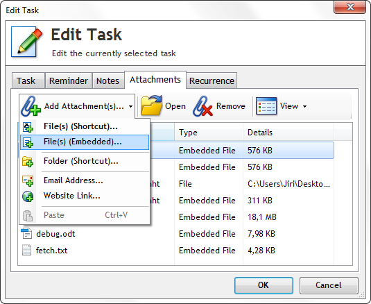 Embedded file attachments